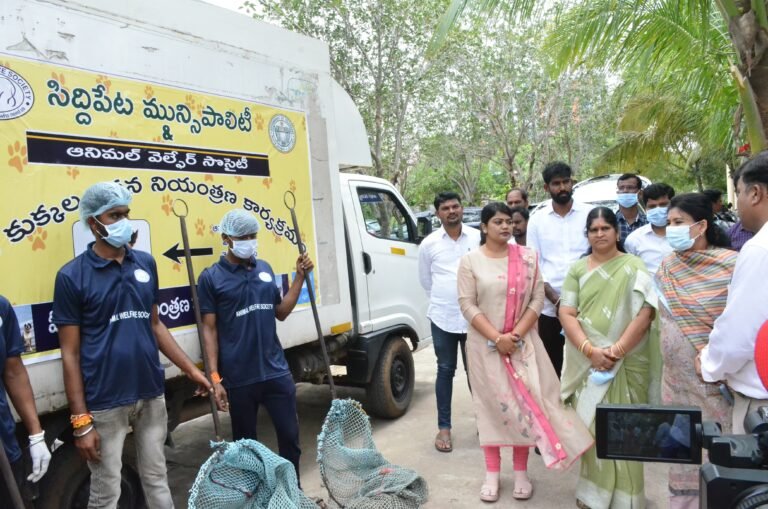 కుక్కల బెడదలేకుండా చూడాలి || Do not worry about the dogs