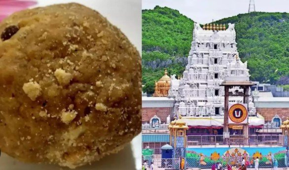 తిరుమల లడ్డూపై విచారణ జరగాల్సిందే || There should be an inquiry on Tirumala Laddu